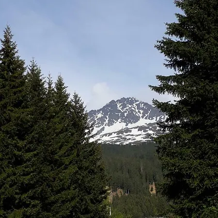 Canols#32 アパート